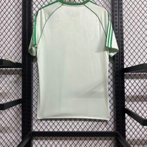 Celtics 25-26 origin edition