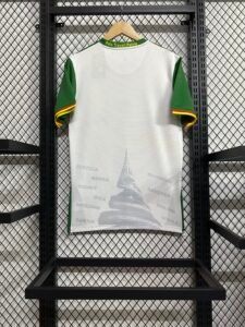 Cameroon 25/26 Third Away Jersey