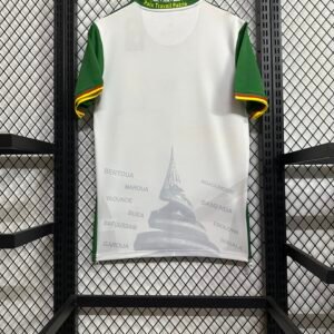Cameroon 25/26 Third Away Jersey