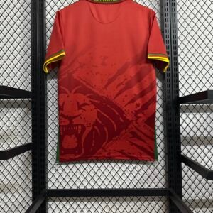 Cameroon 25/26 Away Jersey