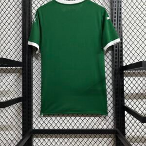 Pameiras 25-26 home jersey