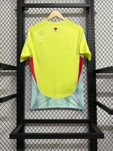 Spain 24/25 Away Jersey