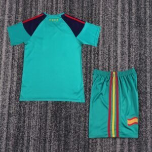 (kids) 2010 Spain goalkeeper green Jersey