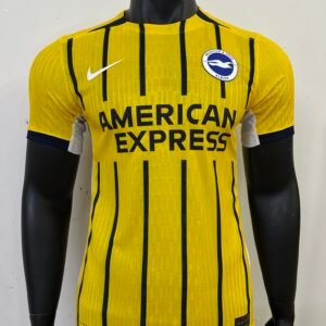 Players 2024-25 Brighton away jersey