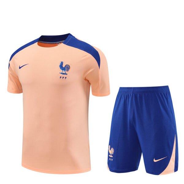 2526 Short Sleeve France Training Shirt Pink
