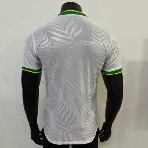 Brazil 24-25 Bird Design Kit for Players