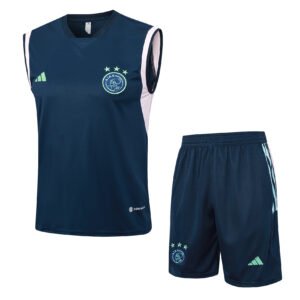 D885# Training vest: 23-24 Ajax royal blue