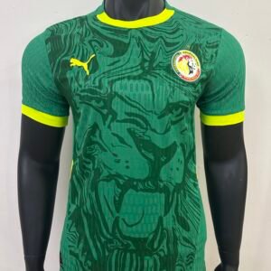 Senegal 25-26 Away Kit for Players