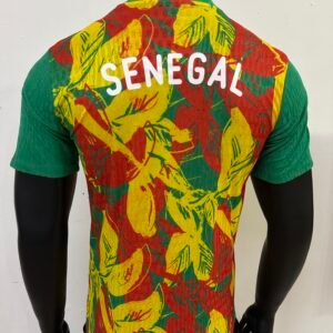 Senegal 25-26 Training Kit for Players