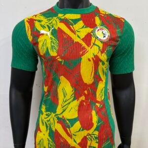 Senegal 25-26 Training Kit for Players