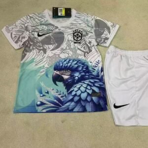 25-26 Brazil special edition jersey blue
