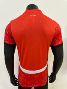 Egypt 24-25 Home Kit for Players