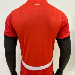 Egypt 24-25 Home Kit for Players