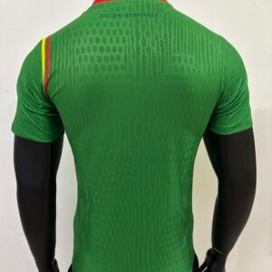 Cameroon 24-25 Home Kit for Players