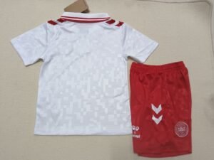 24-25 Denmark Away Jersey