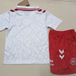 24-25 Denmark Away Jersey