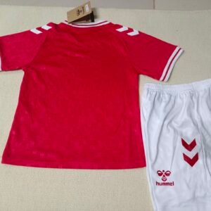 24-25 Denmark Home Jersey