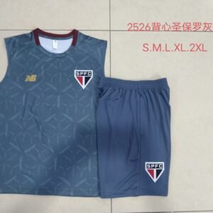 D25130# Training suit vest: 25-26 Sao Paulo gray inkjet