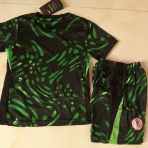 24-25 Nigeria Away Jersey